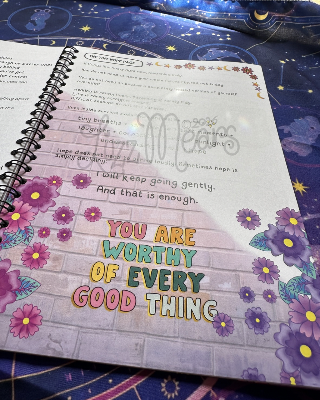 Calm in the Chaos The Workbook